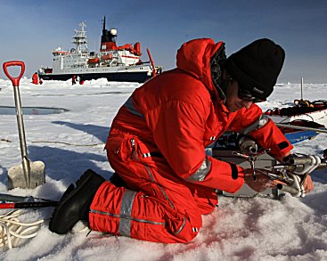 Rapid Changes in the Arctic Ecosystem