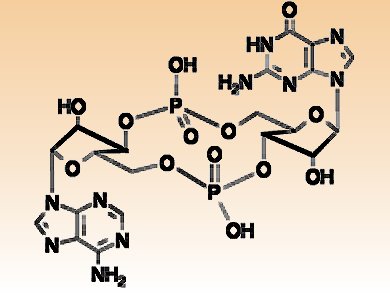 Sensing Danger for an Active Immune Response