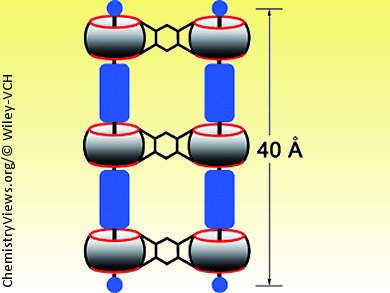 Supramolecular Cucurbit[n]uril Ladders