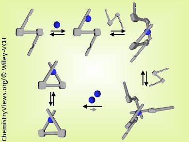 Metal–Ligand Assembly