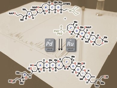 Total Synthesis of Gambieric Acids