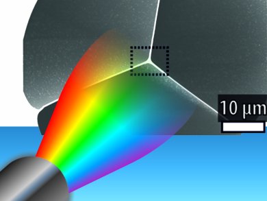 Microcatalysis in Photonic Crystal Fibers