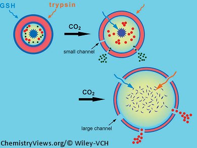 Breathing Polymer Vesicles