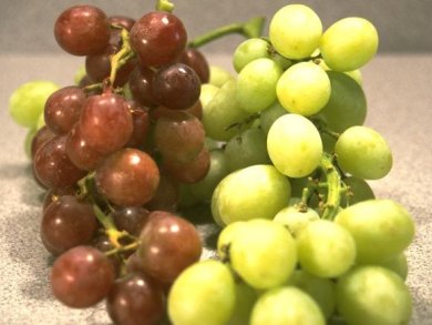 Grape Extracts Keep Kidneys Healthy