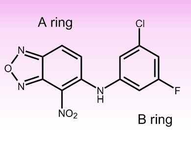 Blocking Hypoxia Inducible Factors Allosterically