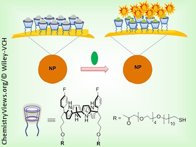 Nanoensemble for Anion Sensing