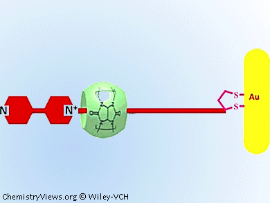 New Multifunctional Organic–Inorganic Hybrid Material