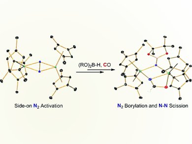 Dinitrogen Borylation with Group 4 Metallocene Complexes