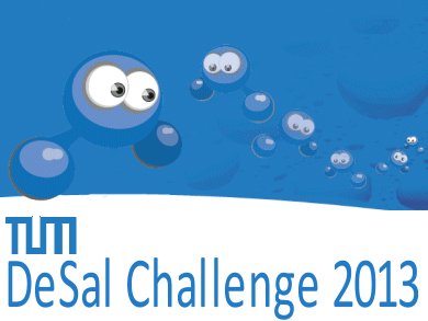 TUM DeSal Challenge 2013 Teams Announced