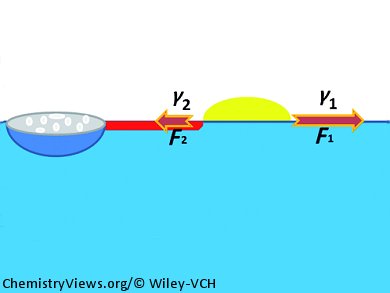 Self-Propelled Capsules for Cleaning Oil Spills