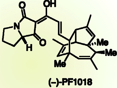 Cascading Towards a Polyketide