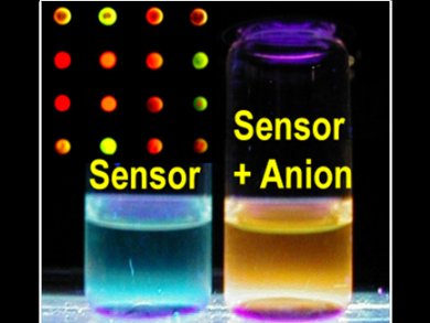 Fluorescence Anion Sensors
