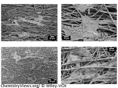 Multifunctional Nanofibers