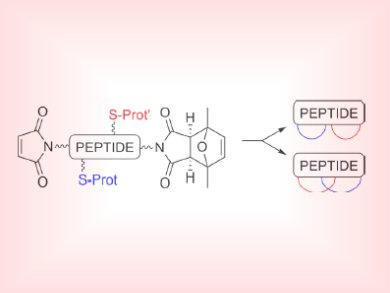 Clicking for Cyclic Peptides