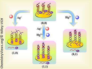 DNA Logic Gates for Metal-ion Sensing