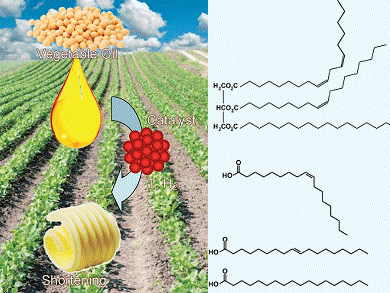 Saying Goodbye to trans Fats