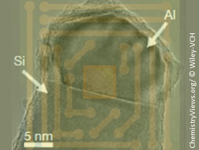 Catalyst Atoms in Nanowires