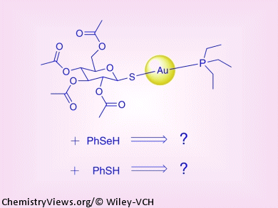 Thioredoxin Reductase Inhibition by Auranofin