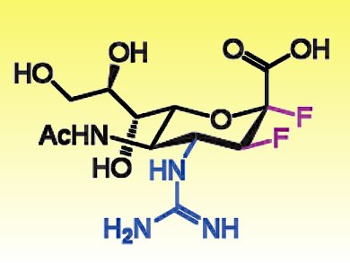 Novel Anti-influenza Drugs