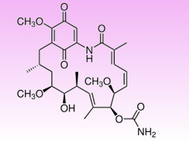 Preventing  Geldanamycin’s Toxicity