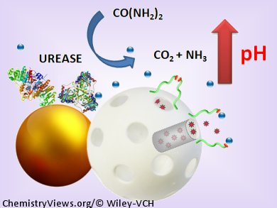 Nanomachine Drug Delivery