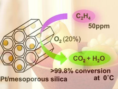 Catalyst Keeps Fruit Fresh Longer