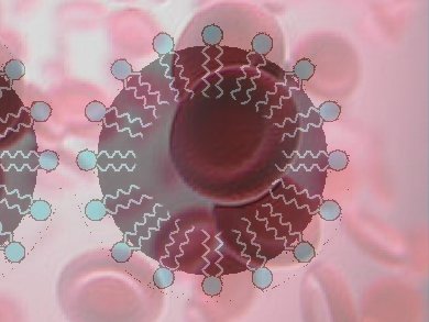 Fooling Toxins with Mimetic Nanosponges