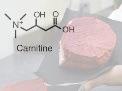 Meat, Bacteria, and Atherosclerosis