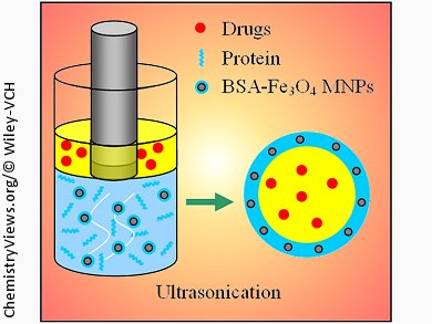 Magnetic Protein Microcapsules for Targeted Delivery