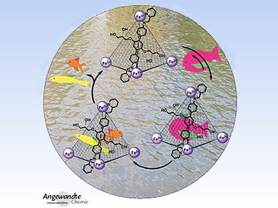 Angewandte Chemie 31/2013: A Great Therapy