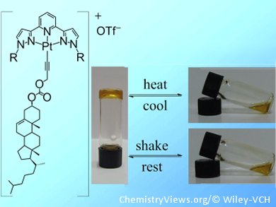 New Smart Supramolecular Gels