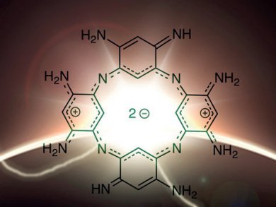 A New Member of the Porphyrin Family