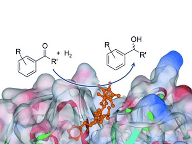 Enantioselective Organometallic Enzyme Hybrid (OMEH) Catalysts