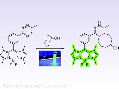 The Fastest and the Brightest Fluorescent Probe - ChemistryViews