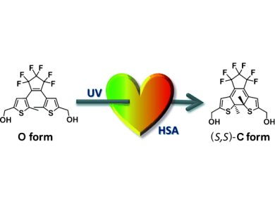 Enantioselective Photochromism in Human Serum Albumin