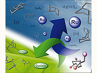 Excellent Overview of all Aspects of Organic Chemistry Since 1998