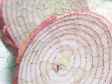 Graphene Onion Rings