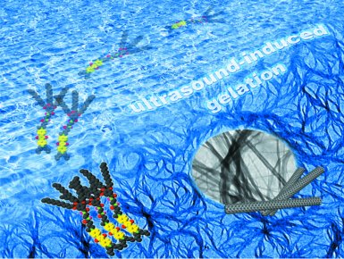 Sonication-Induced Gelation