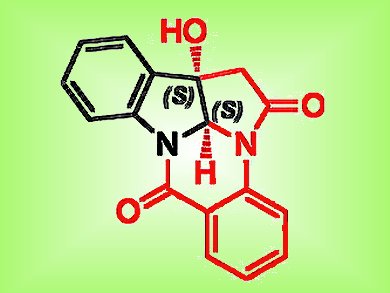 Concise Total Synthesis of a Newly Discovered Alkaloid