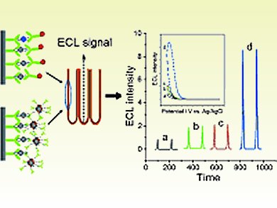 Titanium Dioxide for Sensitive Immunosensors