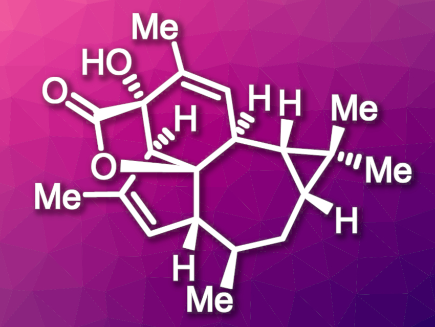 Bioinspired Total Synthesis of (+)-Euphorikanin A