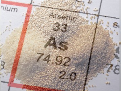 Arsenic Contamination in Rice