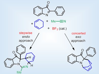 A Story of Multicomponent Systems