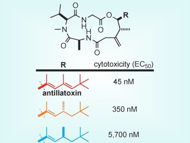 The Structure Makes the Poison