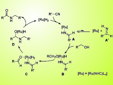 Atom-economical Amide Synthesis