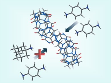 Molecular Containers in the Gas Phase