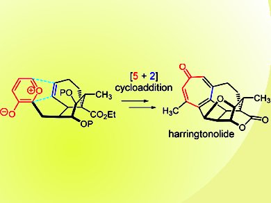 Synthesis of Hainanolidol and Harringtonolide