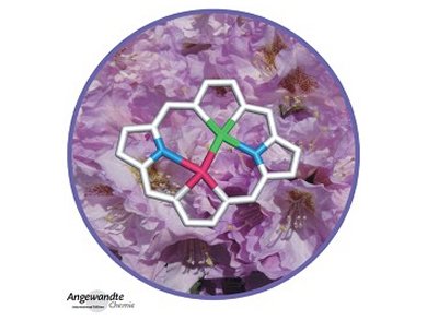 Angewandte Chemie 34/2013: Celebrating Liquid Crystals