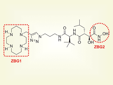 Matrix Metalloproteinase Inhibitor