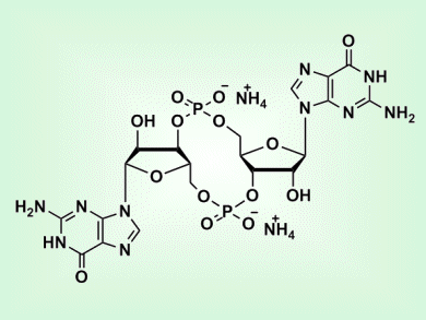 Cyclic Dinucleotide Senses HIV